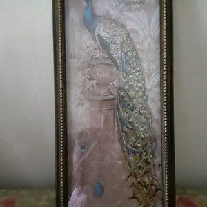 Chad Barrett Art Print of a Peacock